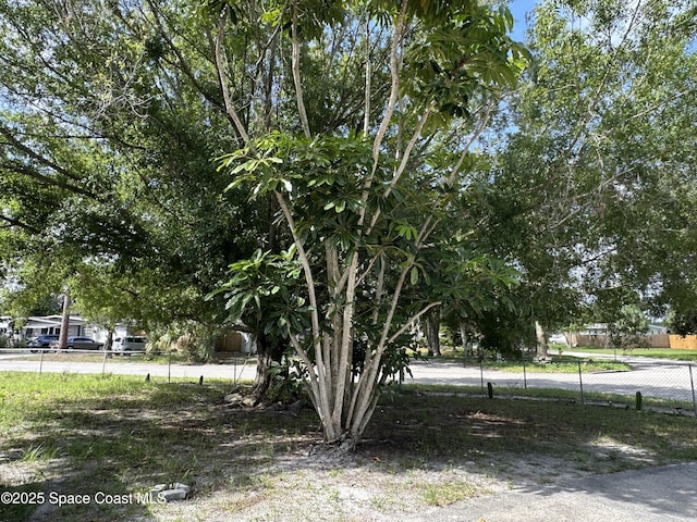 1602 Harvard Dr, Cocoa, FL 32922 - view of yard