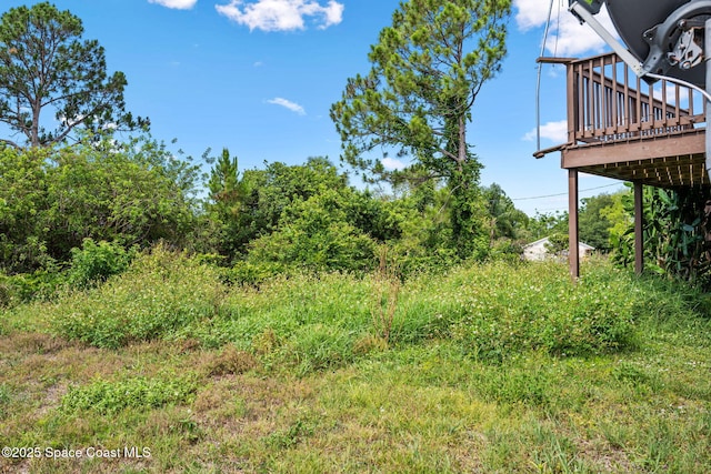 1620 Wichita Blvd SE, Palm Bay, FL 32909 - view of yard