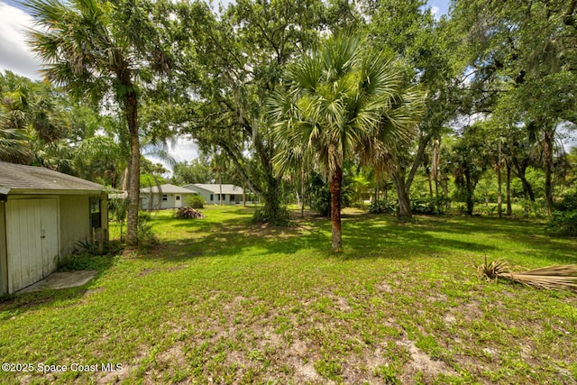 5320 Shadwell Ave, Cocoa, FL 32926 - view of green lawn featuring a storage unit