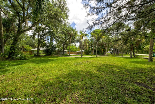 5320 Shadwell Ave, Cocoa, FL 32926 - view of green lawn