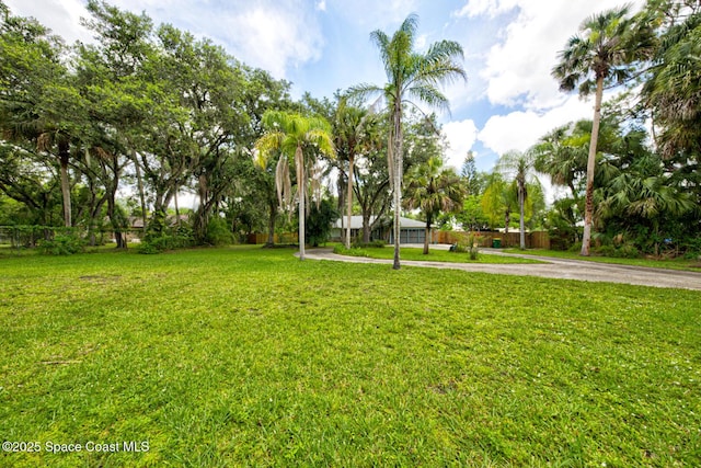 5320 Shadwell Ave, Cocoa, FL 32926 - view of yard with view of wooded area