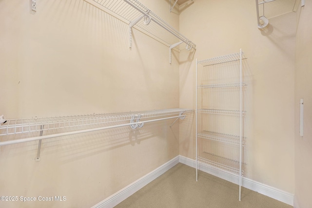 2178 Tanager Ct, Melbourne, FL 32903 - walk in closet featuring carpet