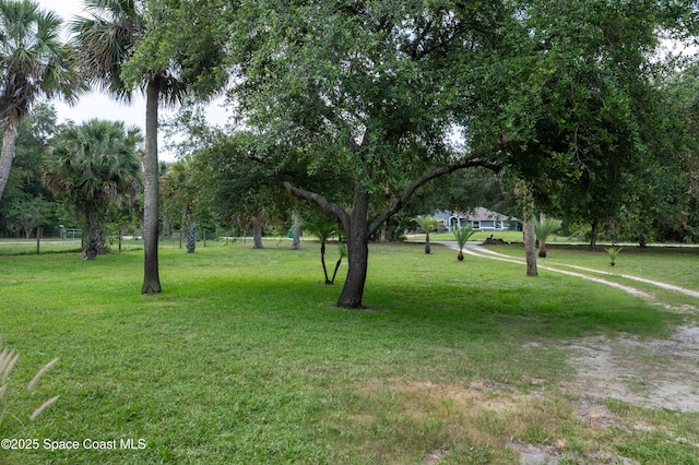 4180 Seville Ave, Cocoa, FL 32926 - view of property's community featuring a lawn