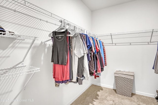 1265 Valley View Ave, Rockledge, FL 32955 - spacious closet with carpet
