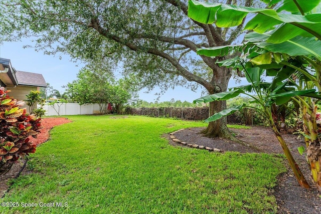 1527 Spruce Rd, Melbourne, FL 32935 - view of yard
