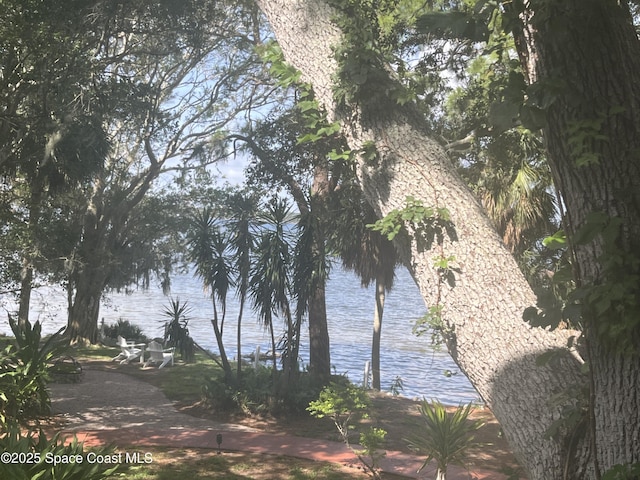 225 S Tropical Trl Unit 607, Merritt Island, FL 32952 - water view