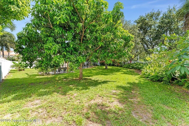 1211 Olde Bailey Ln, Melbourne, FL 32904 - view of fenced backyard