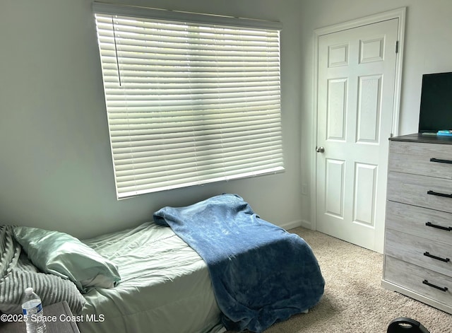 171 Knight St SE, Palm Bay, FL 32909 - bedroom with carpet flooring and baseboards