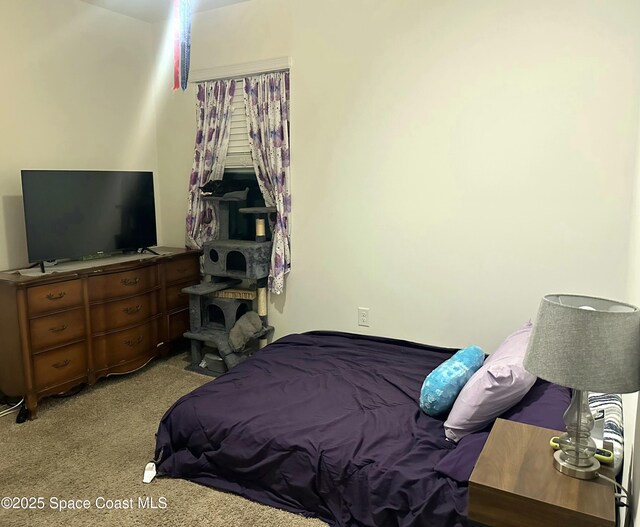 171 Knight St SE, Palm Bay, FL 32909 - bedroom featuring carpet floors