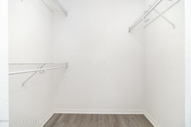 6856 Buxton Ave, Cocoa, FL 32927 - walk in closet featuring light wood-type flooring