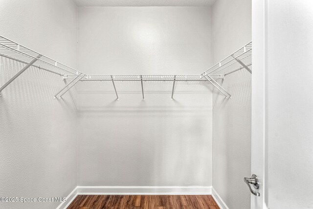 3654 Gurrero Dr, Melbourne, FL 32940 - walk in closet featuring dark wood-style floors