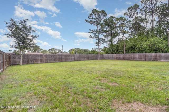 1265 Helias St NW, Palm Bay, FL 32907 - view of yard
