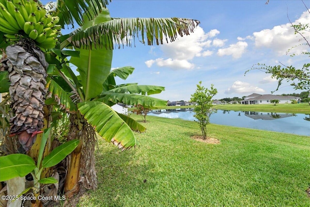 587 Corbin Cir SW, Palm Bay, FL 32908 - photo 32