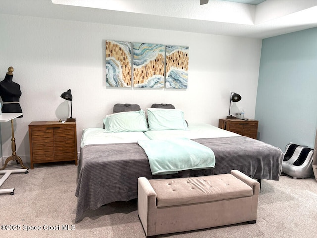 259 Wilton Ave SW, Palm Bay, FL 32908 - bedroom with carpet flooring