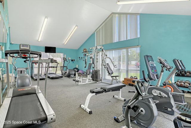 1020 S Fork Cir, Melbourne, FL 32901 - exercise room featuring high vaulted ceiling