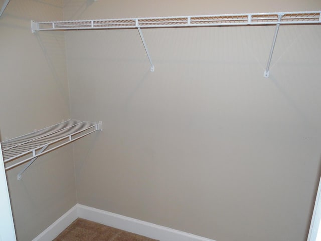 6460 Borasco Dr Unit 2903, Melbourne, FL 32940 - spacious closet featuring carpet floors