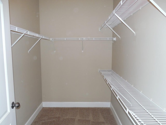 6460 Borasco Dr Unit 2903, Melbourne, FL 32940 - walk in closet featuring carpet