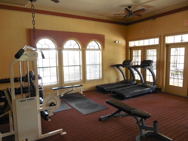 6460 Borasco Dr Unit 2903, Melbourne, FL 32940 - gym with a ceiling fan, carpet, and ornamental molding