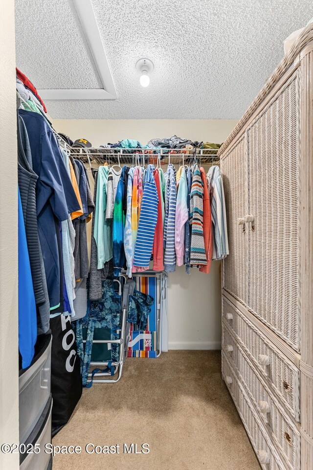 200 International Dr Unit 817, Cape Canaveral, FL 32920 - spacious closet featuring carpet