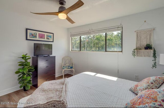 8060 Sunset Ct, Cape Canaveral, FL 32920 - photo 17