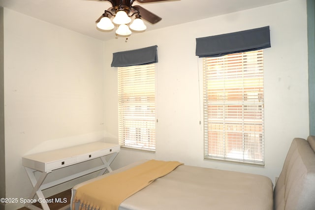 1320 NW 3rd Ave # 238, Gainesville, FL 32608 - bedroom with multiple windows