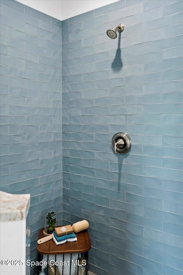 833 Paddleboard Ct, Melbourne, FL 32935 - bathroom with tiled shower