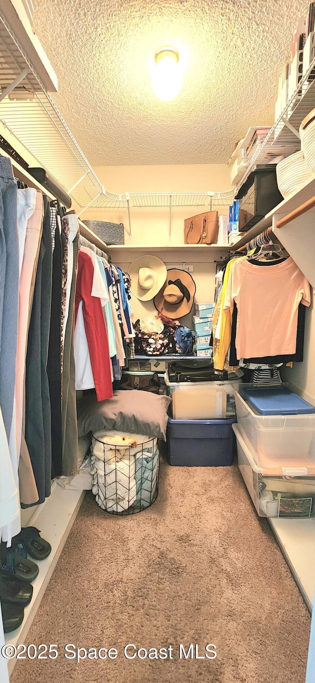 2135 N Courtenay Pkwy Unit 104, Merritt Island, FL 32953 - spacious closet with carpet flooring