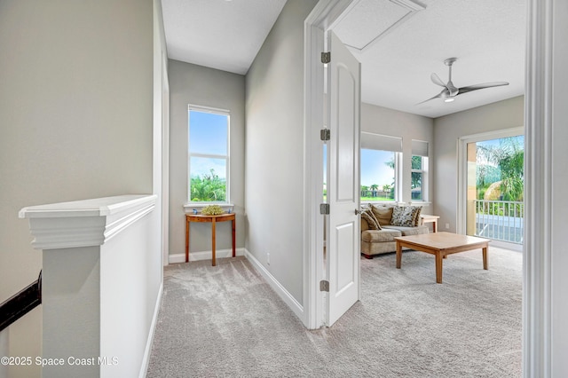 2781 Emeldi Ln, Melbourne, FL 32940 - photo 78