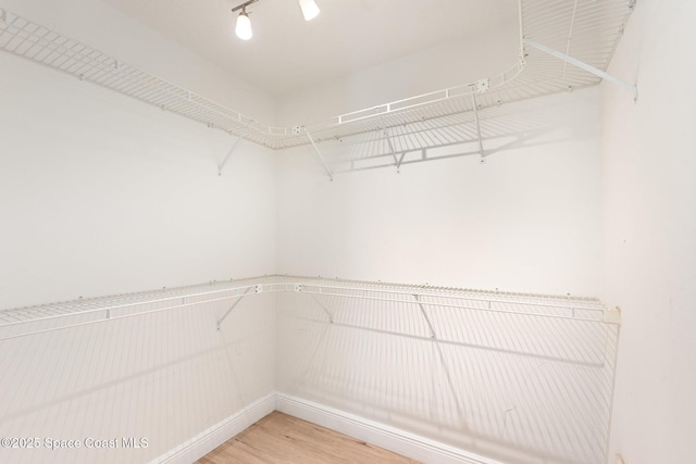 465 Apache Trl, Merritt Island, FL 32953 - walk in closet with light wood finished floors