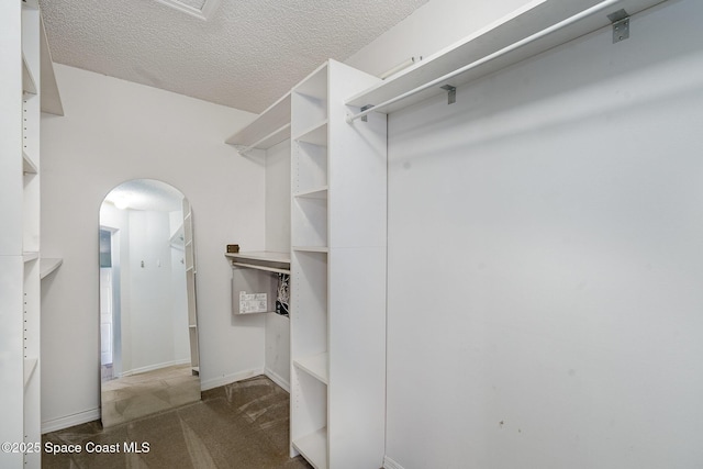 146 Oakcrest Ave NE, Palm Bay, FL 32907 - walk in closet with arched walkways and carpet