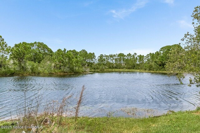 840 Sandhill Crane Ct, Rockledge, FL 32955 - photo 24