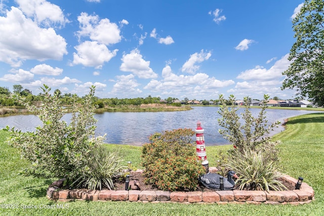 4448 Heaton Park Trl, Rockledge, FL 32955 - water view