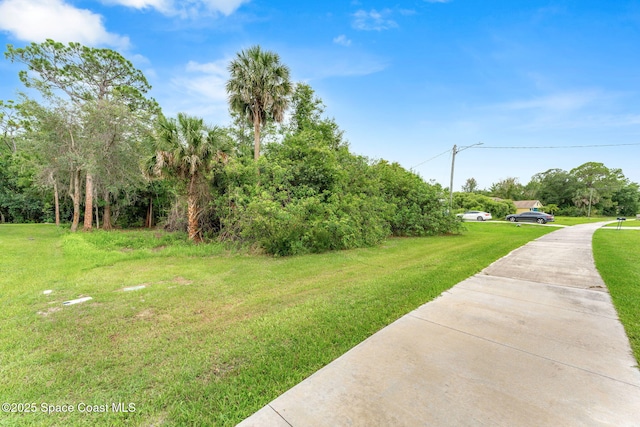 3836 Jupiter Blvd SE, Palm Bay, FL 32909 - photo 8