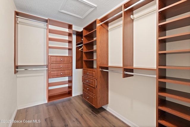 967 Sabal Grove Dr, Rockledge, FL 32955 - walk in closet featuring wood finished floors and attic access