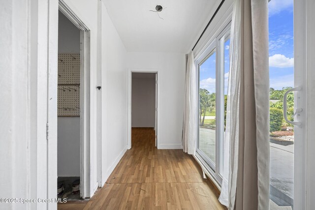 458 Stendal Rd NW, Palm Bay, FL 32907 - corridor with light wood finished floors and healthy amount of natural light