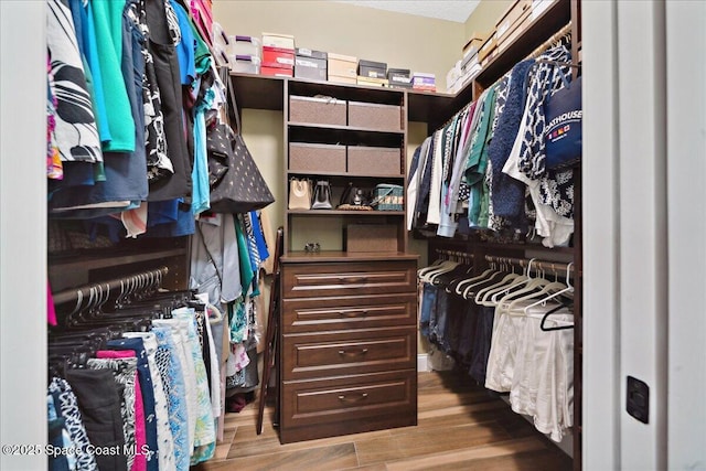 4464 Preservation Cir, Melbourne, FL 32934 - spacious closet featuring wood finished floors