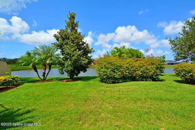 3531 Plume Way SE, Palm Bay, FL 32909 - view of green lawn with a water view
