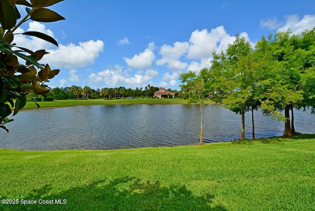 3531 Plume Way SE, Palm Bay, FL 32909 - water view