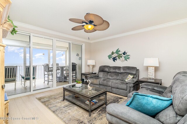3 Indian River Ave Unit 905, Titusville, FL 32796 - photo 10