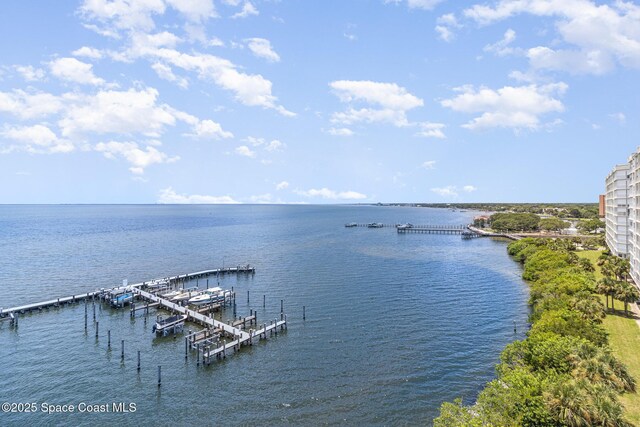 3 Indian River Ave Unit 905, Titusville, FL 32796 - photo 22