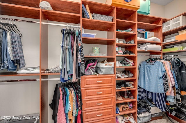 4554 Preservation Cir, Melbourne, FL 32934 - view of spacious closet