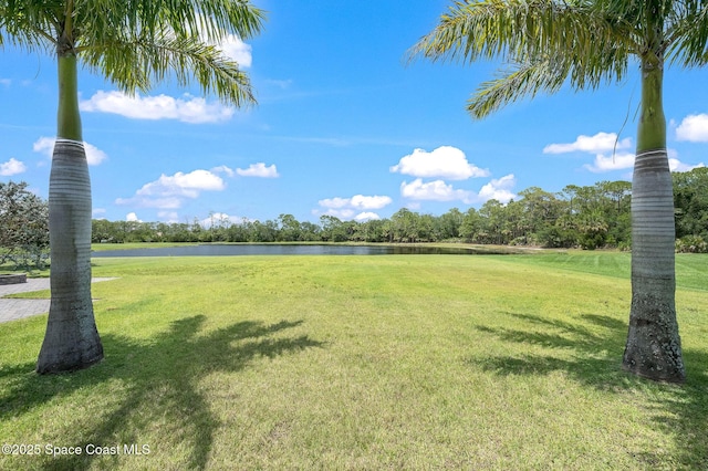 4554 Preservation Cir, Melbourne, FL 32934 - view of grassy yard with a water view