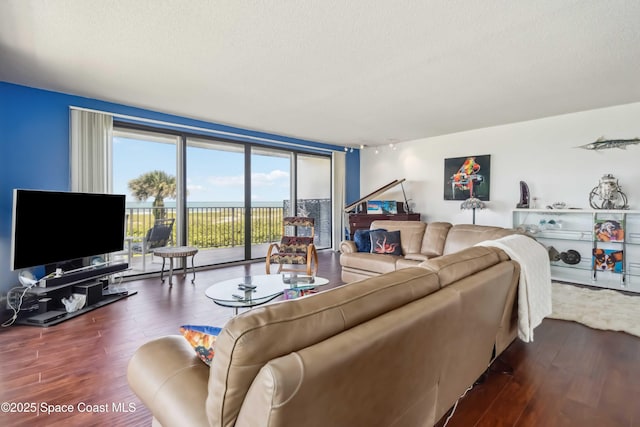 750 N Atlantic Ave Unit 203, Cocoa Beach, FL 32931 - living area featuring wood finished floors, a wall of windows, and a textured ceiling