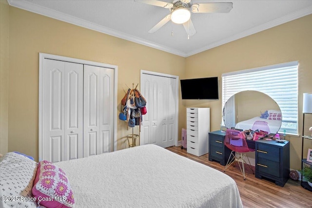 2097 Hidden Grove Ln Unit 106, Merritt Island, FL 32953 - bedroom with wood finished floors, ornamental molding, two closets, multiple windows, and a ceiling fan
