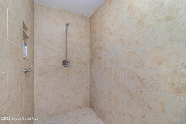 690 Grant Rd, Palm Bay, FL 32909 - bathroom with tiled shower