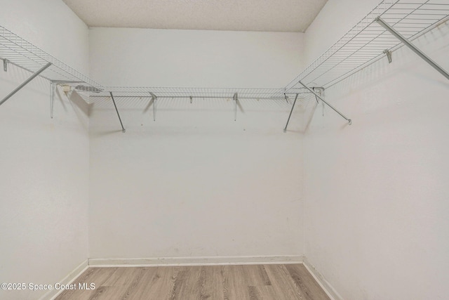 1327 Canterbury Ln, Rockledge, FL 32955 - spacious closet with light wood-style flooring