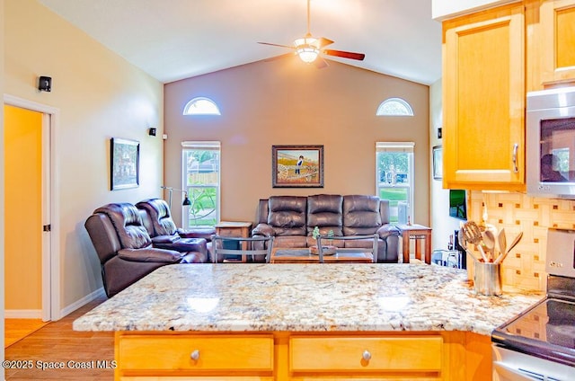 4204 Long Leaf Dr, Melbourne, FL 32940 - kitchen featuring stainless steel appliances, ceiling fan, open floor plan, light wood finished floors, and high vaulted ceiling