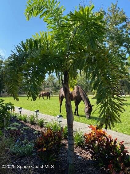 2940 Friday Ln, Cocoa, FL 32926 - view of property's community featuring a lawn