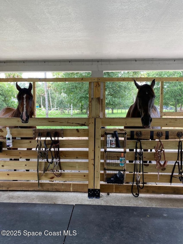 2940 Friday Ln, Cocoa, FL 32926 - view of horse barn