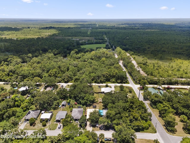 5964 Travis St, Mims, FL 32754 - photo 40